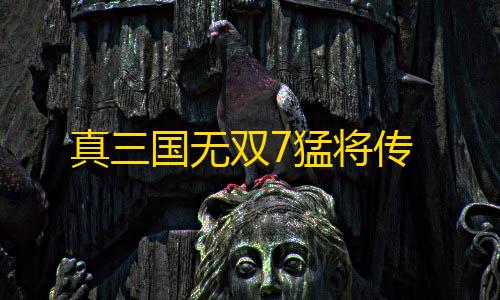 地铁逃生辅助器内置开挂菜单真三国无双7猛将传